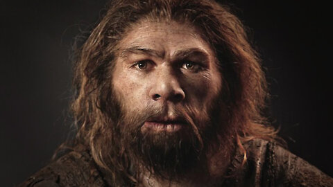 HIGHLIGHTS - Neanderthal Thinking