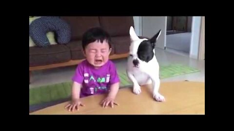 Funny Video Most funny DOG AND KIDS Video