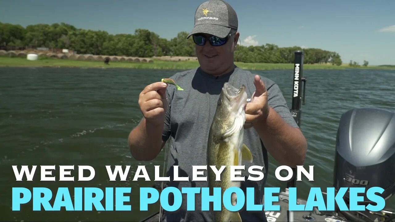 Catching wallleyes in the weeds in South Dakota