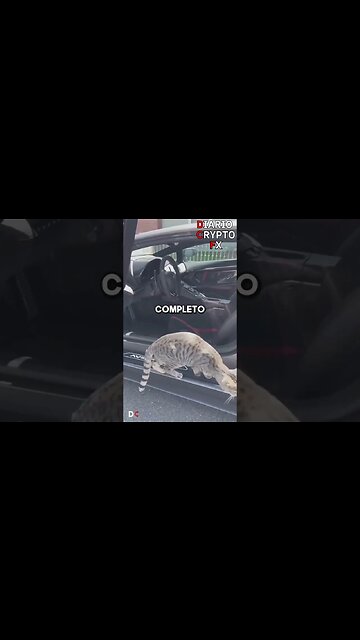 indicadores en el trading