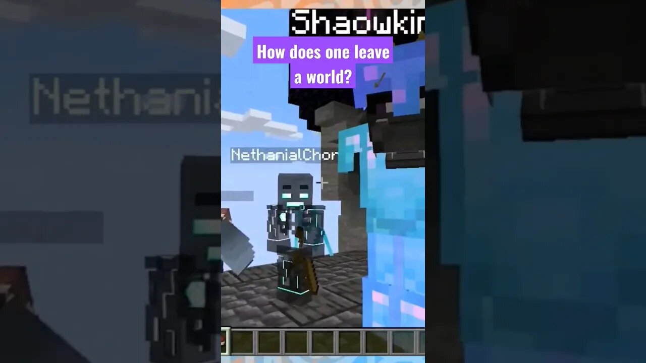 explaining game mechanics in RP #minecraft