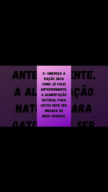 Comida Natural para Gatos.