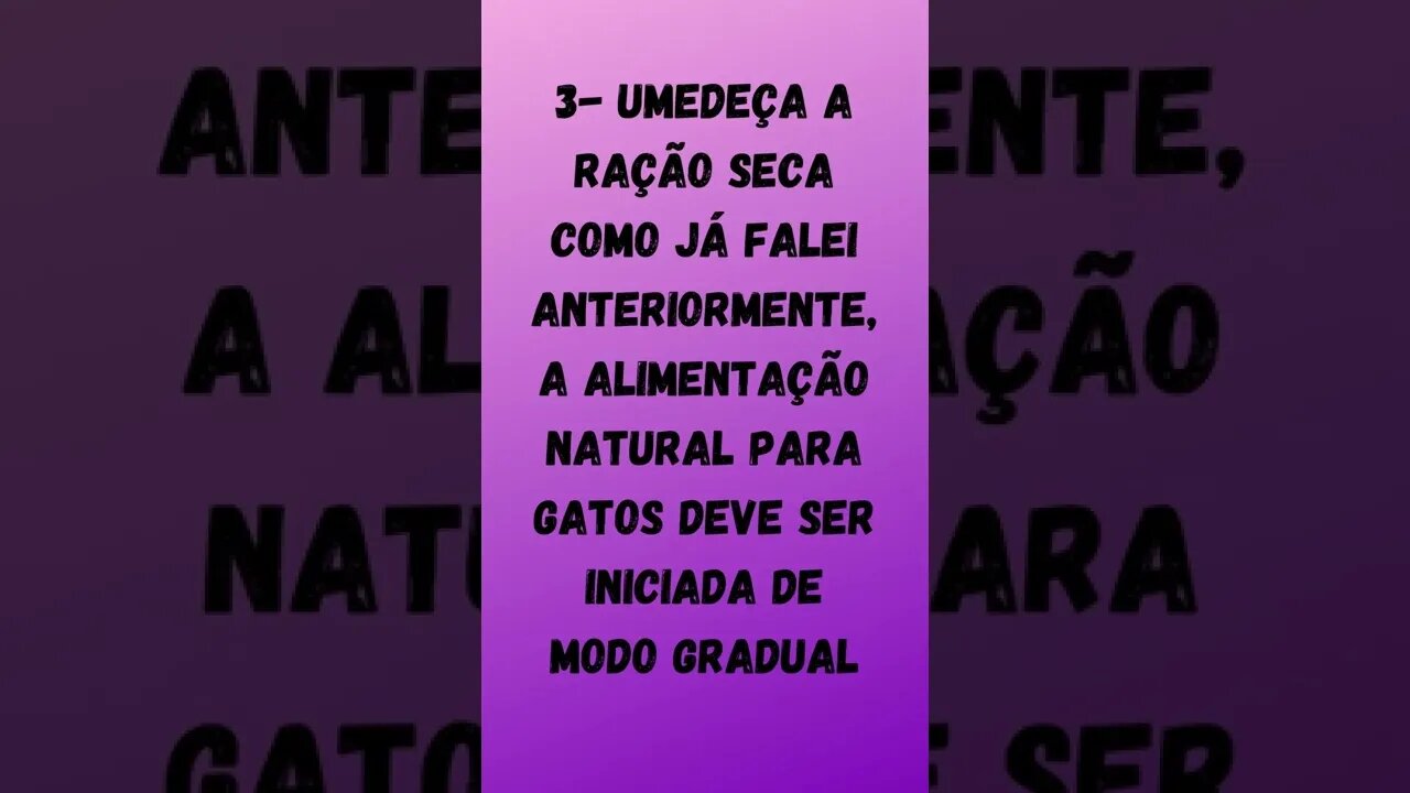 Comida Natural para Gatos.