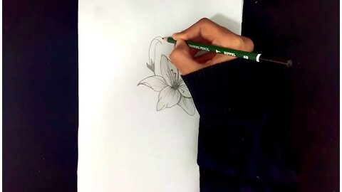 How To Draw Flowers Easy