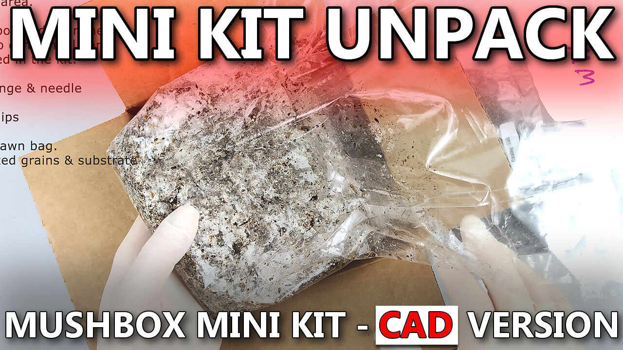 Mushroom Grow Kit Unpacking - Mini CAD