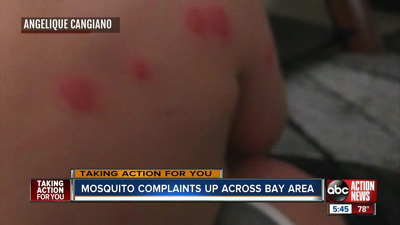 Mosquito Season: How to battle the bugs