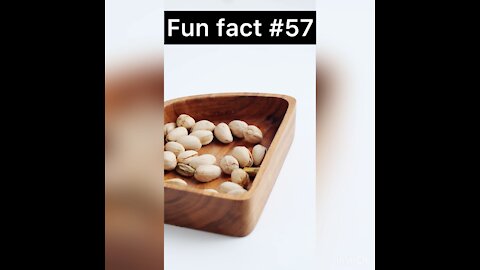 Did you know this about pistachios