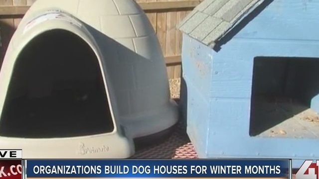 Volunteers build dog houses for neglected animals