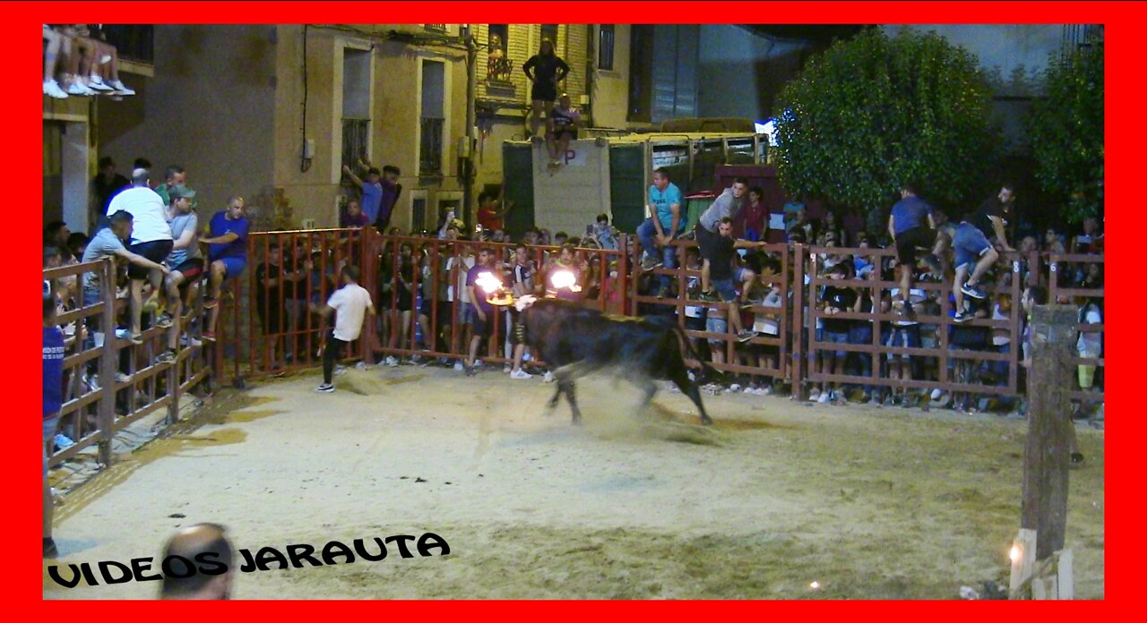 LA ALMEHORA ( TARAZONA ) NOCHE TORO RONDA ( SABADO 9 JULIO 2022 ) PEDRO DOMINGUEZ