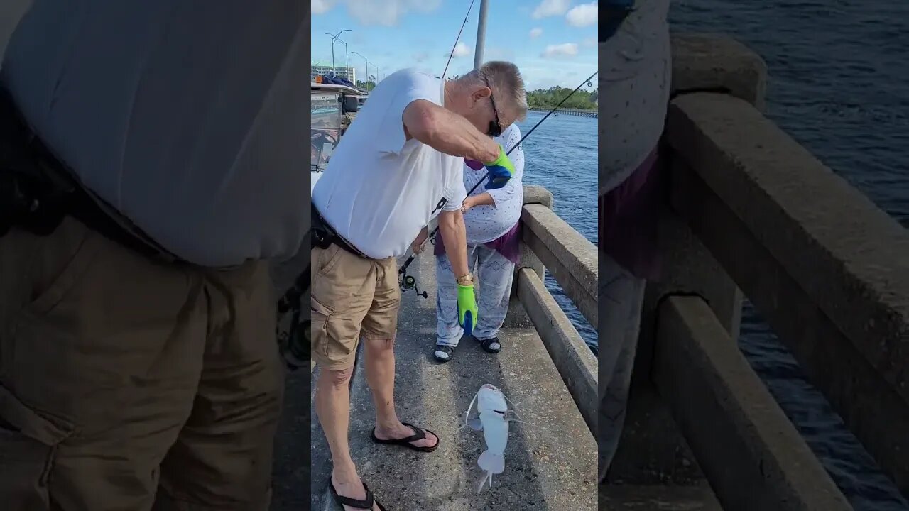 Catching Catfish From A Golf Cart! 🐟🌴🌊 | My Florida Adventures