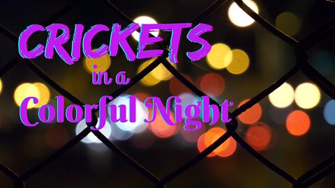 Crickets in a Colorful Night | Crickets at Night | Ambient Sound | What Else Is There?