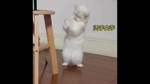 看到最后，好朋友的结局竟然是…#shorts