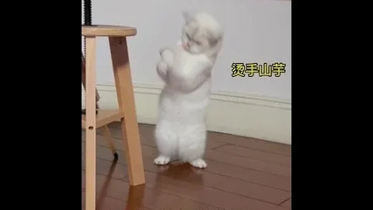 看到最后,好朋友的结局竟然是…#shorts