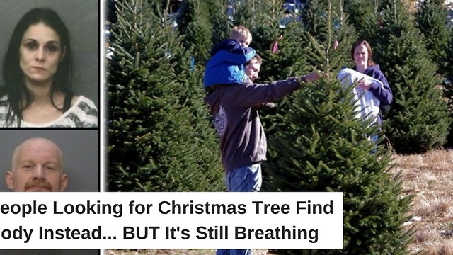 People Looking for Christmas Tree Find Body Instead. But It’s Still Breathing