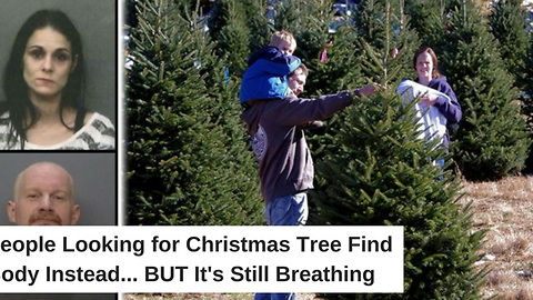 People Looking for Christmas Tree Find Body Instead. But It’s Still Breathing