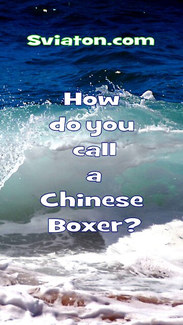 How do you call a Chinese Boxer?
