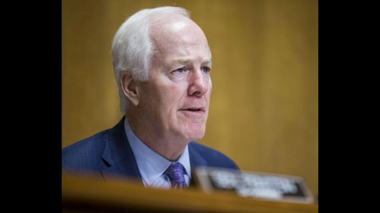 GOP's Cornyn Urges Schumer to Give Gun Talks Time