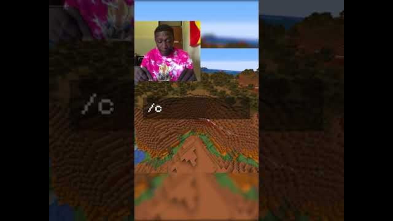 Minecraft TikTok Meme