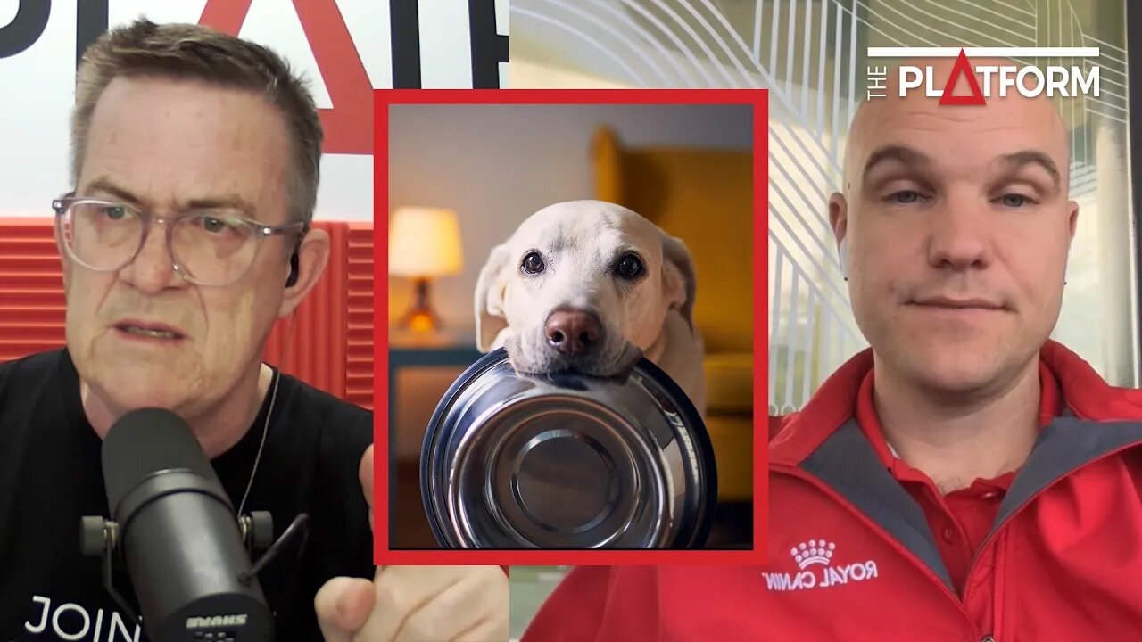 SPCA's Corey Regnerus-Kell on how to become kind to animals this Christmas
