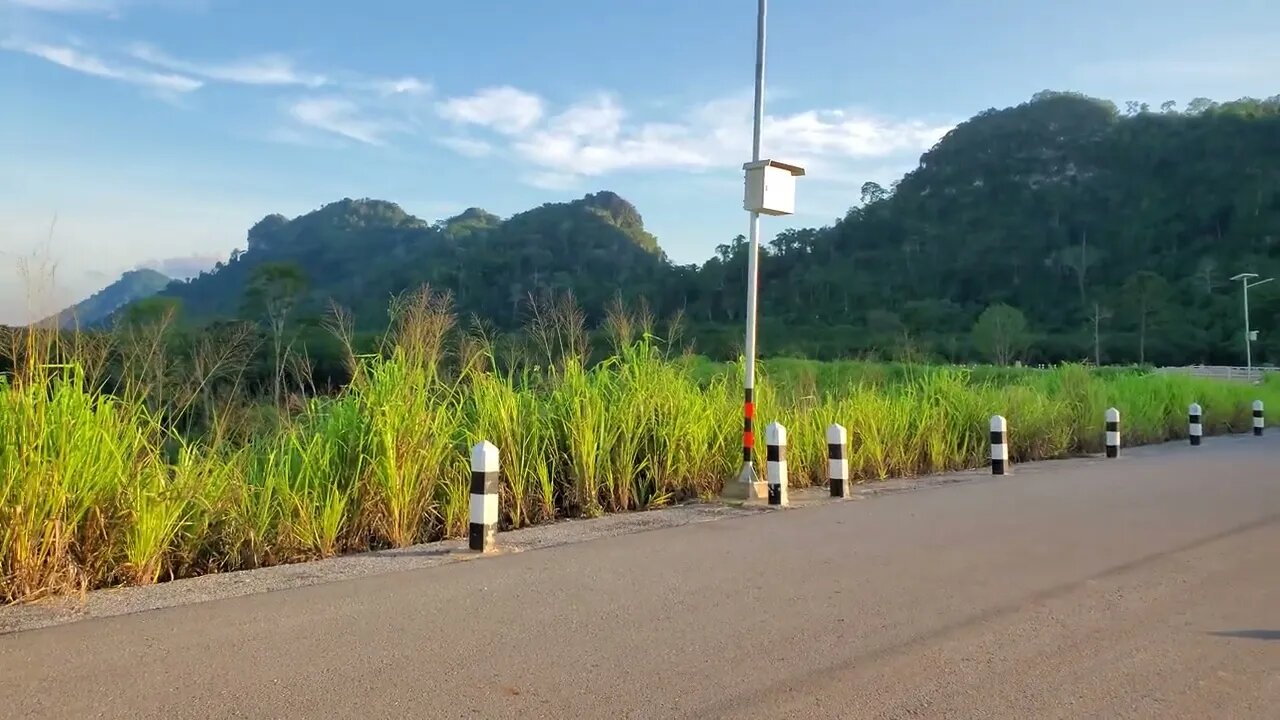 Pawa, Chanthaburi Reservoir, Amazing Jungle!
