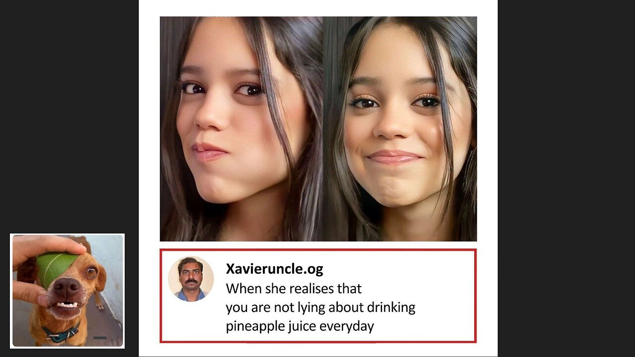 Memes That Will 99.839% Make You Laugh. (e64)