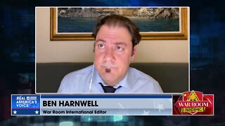 Ben Harnwell: “Western unity cracks as countries pressure Zelensky to surrender land to Russia”