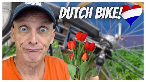 How to replace the Rear Tire on a Dutch Bike, Gazelle Maxinette