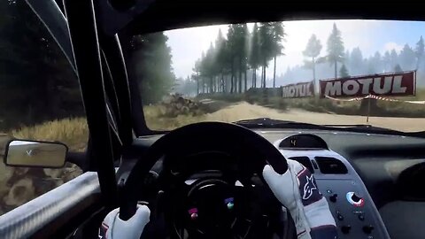 DiRT Rally 2 - 206 Exodus Through Rosebank Farm