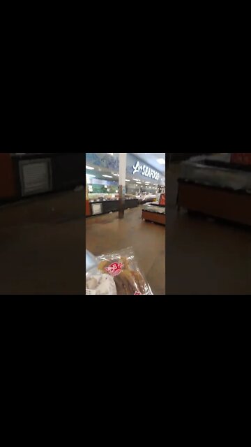 Octopus Club help #savetheoctopus