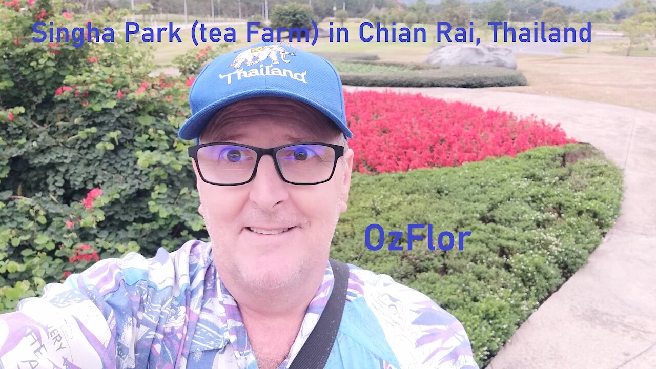 Singha Park (tea Farm) in Chiang Rai, Thailand - Woods music and bird singing