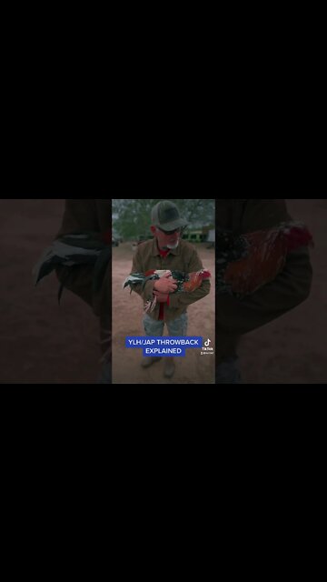 YLH/ Jap Throwback Explained 🔥