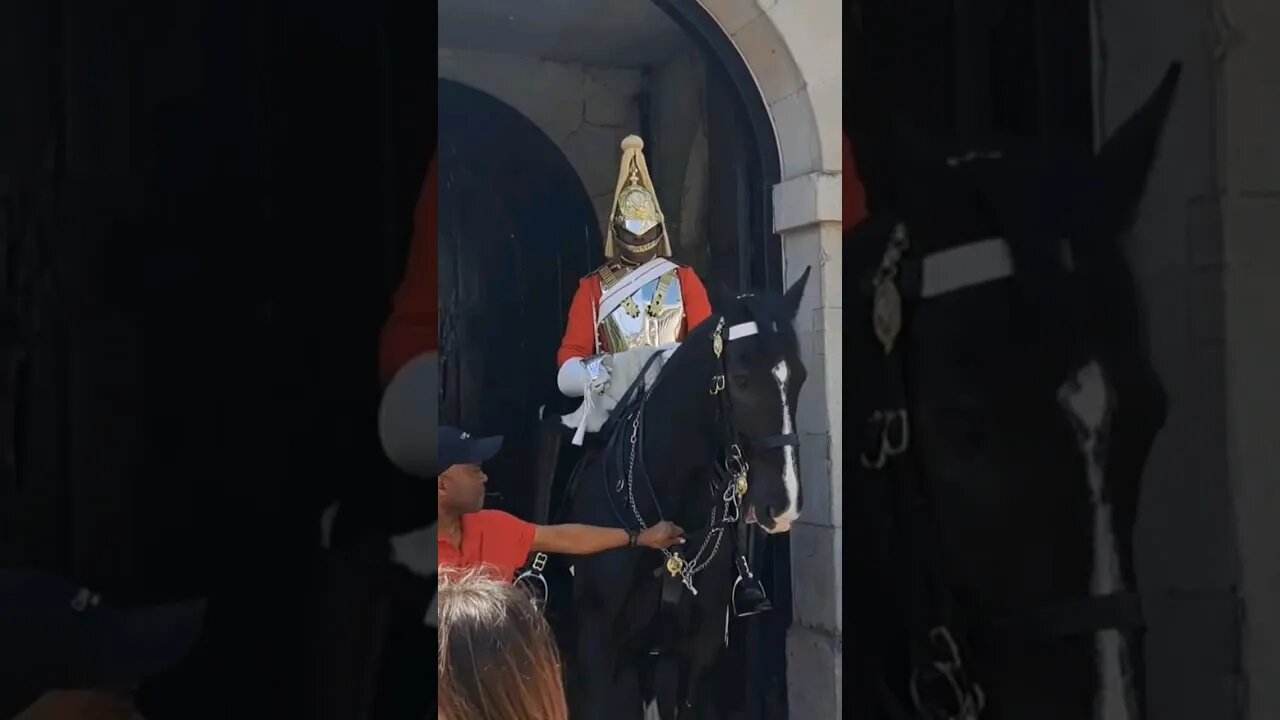 Shaking the Reins Guard silent #horseguardsparade