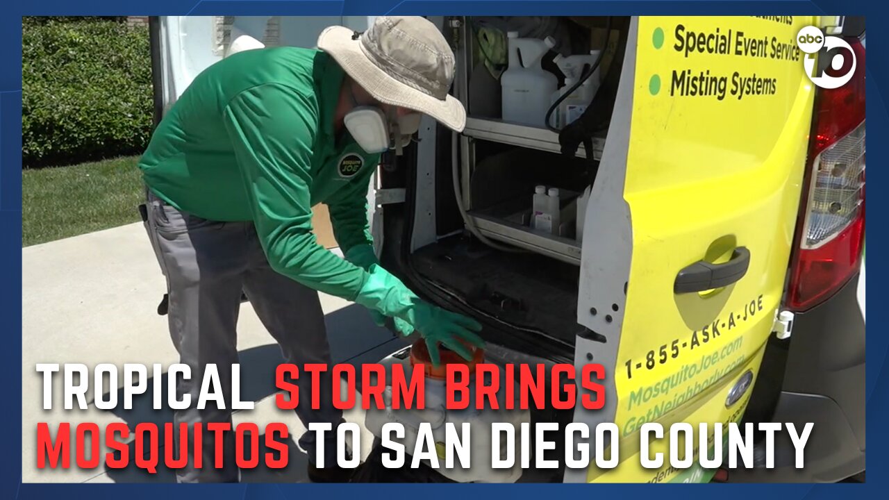Post-storm mosquitoes hatching across San Diego county