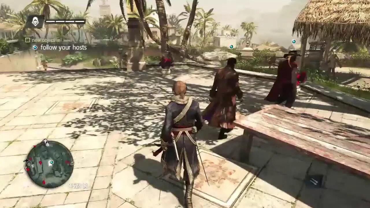 Assassin's Creed: Black Flag