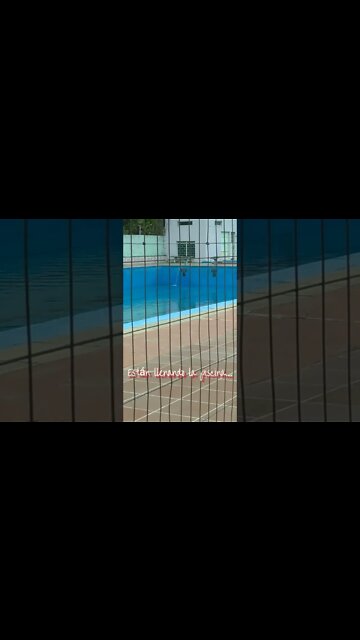 Día gris en El Hongo con los perros. #tacuarembó , #uruguay (03/12/2022)