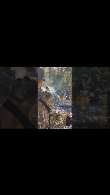 Christmas Season Is A Blast