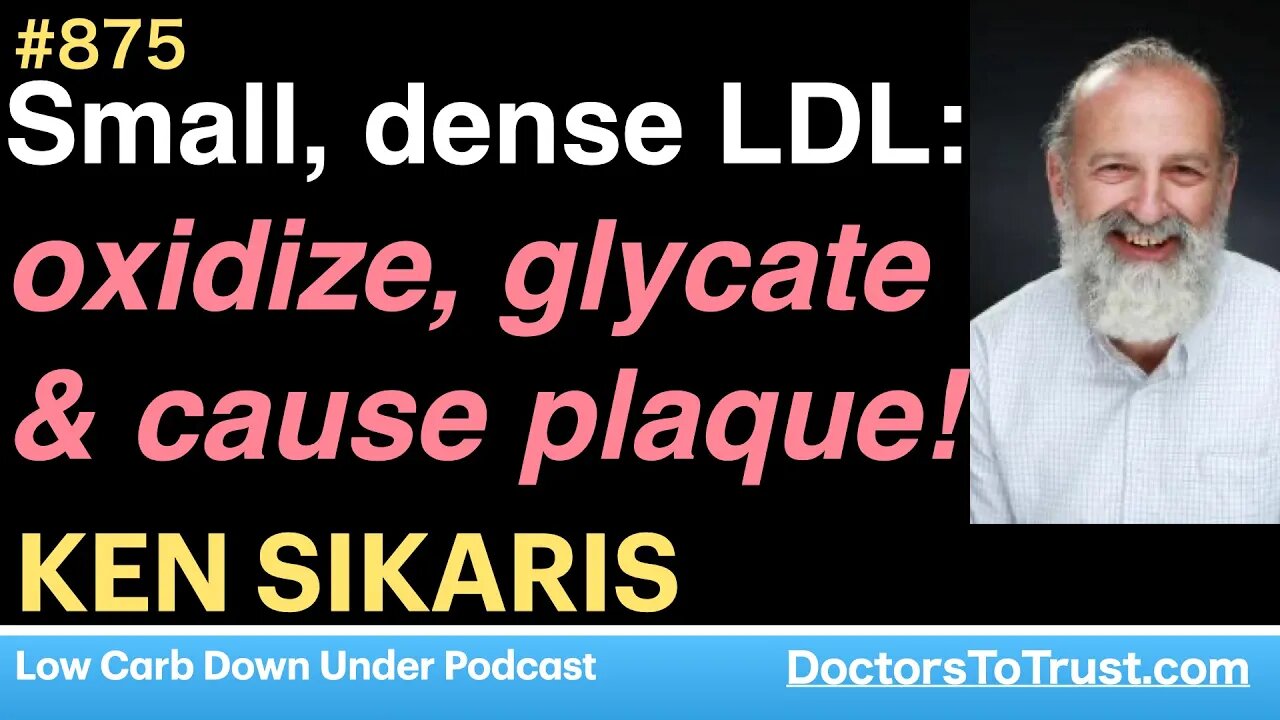 KEN SIKARIS 2 | Small, dense LDL: oxidize, glycate & cause plaque!