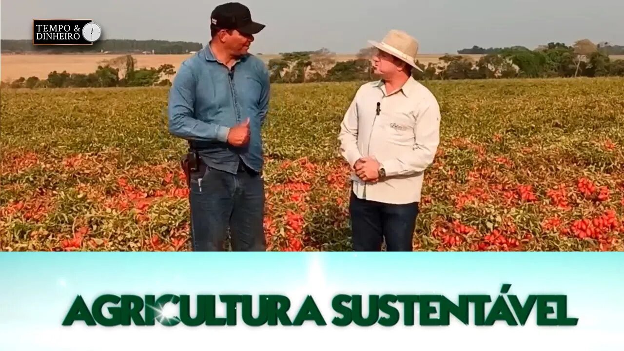 Agricultura Sustentável - com Frederico Olivi