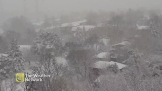 Fresh layer of snow blankets every surface