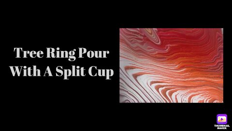 (19) Split Cup Tree Ring Pour -Acrylic Pouring