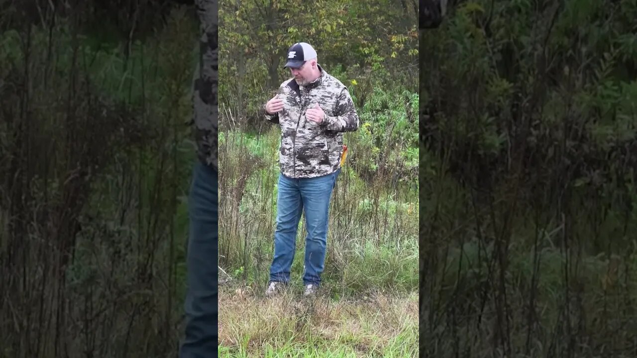 Identifying food paths #shorts #deer #deerhunting