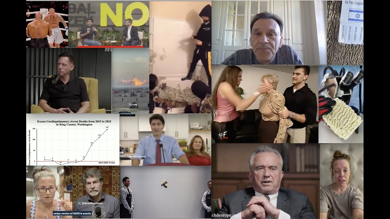 "pugilist's predicament" - week in review 2024-11-22