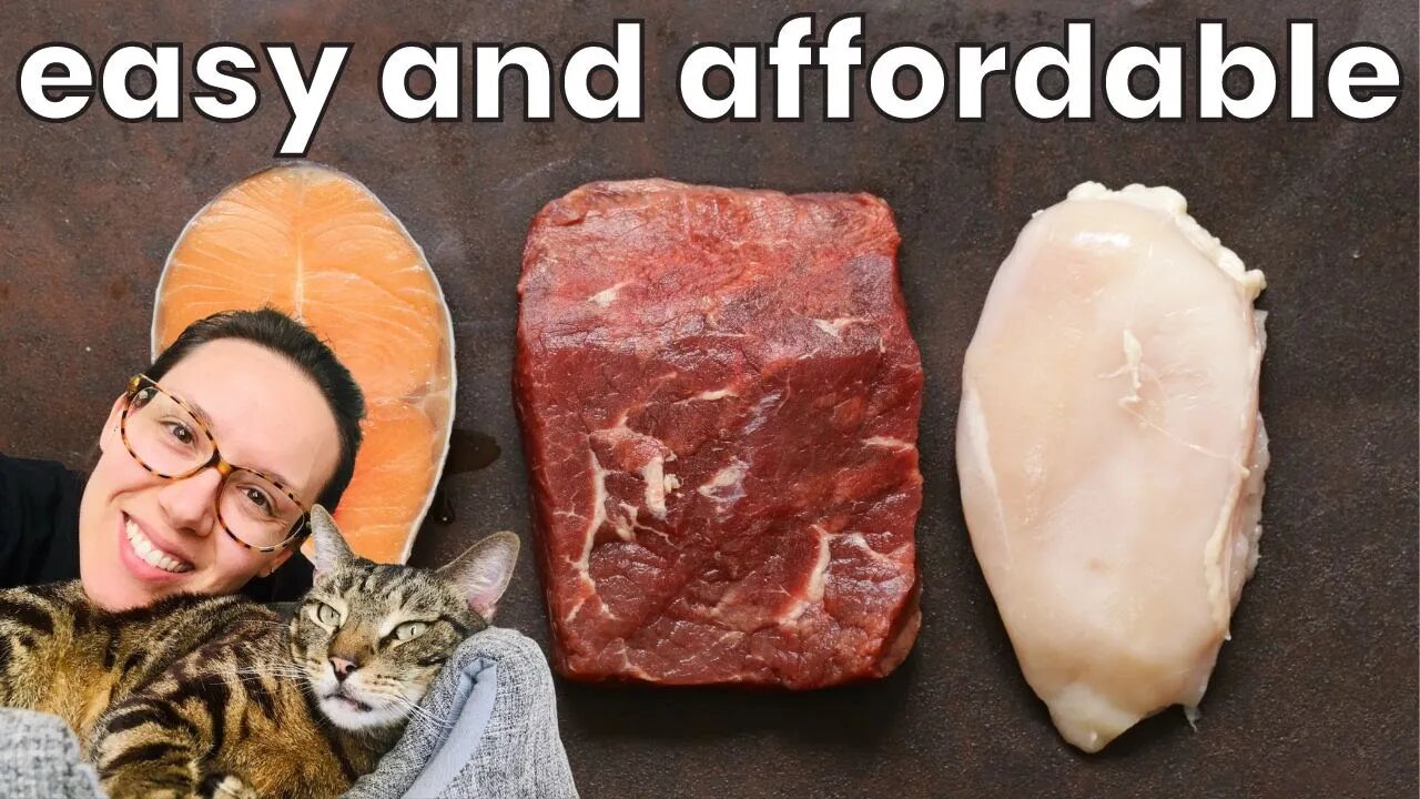 9 homemade cat food recipes (beginner friendly)