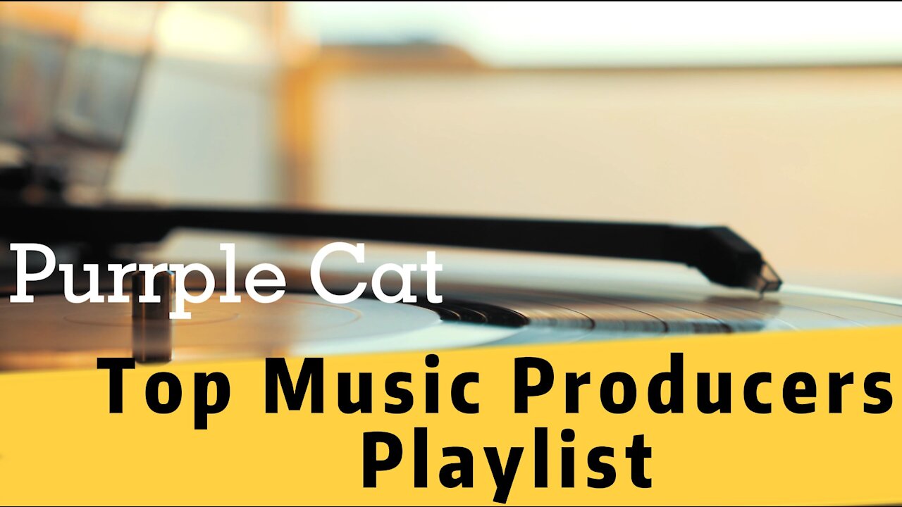 Music Producers Top Playlist in 2021 - Purrple Cat