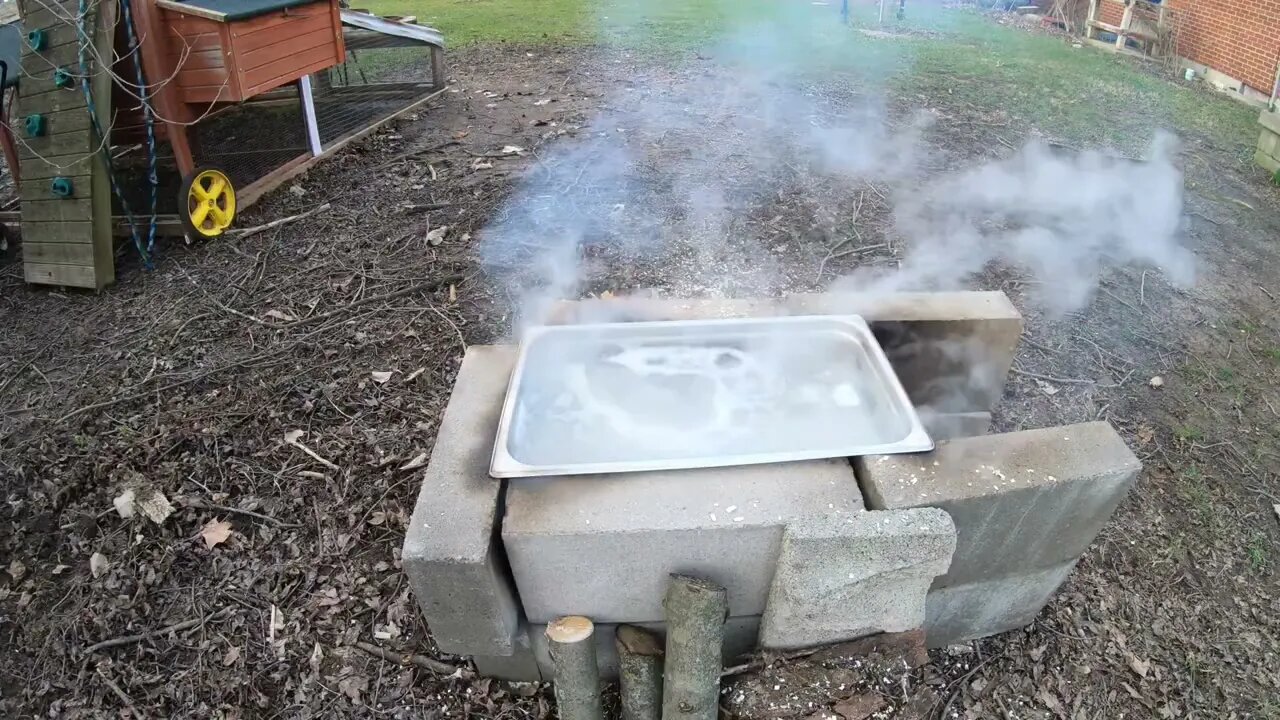 Maple Syrup Making 2023 ASMR