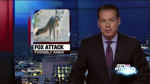 Hiker nearly bitten by fox at Saguaro National Park East