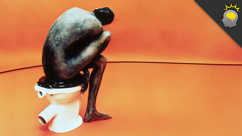 Stuff to Blow Your Mind: Is There a "Right" Way to Poop? - Science on the Web