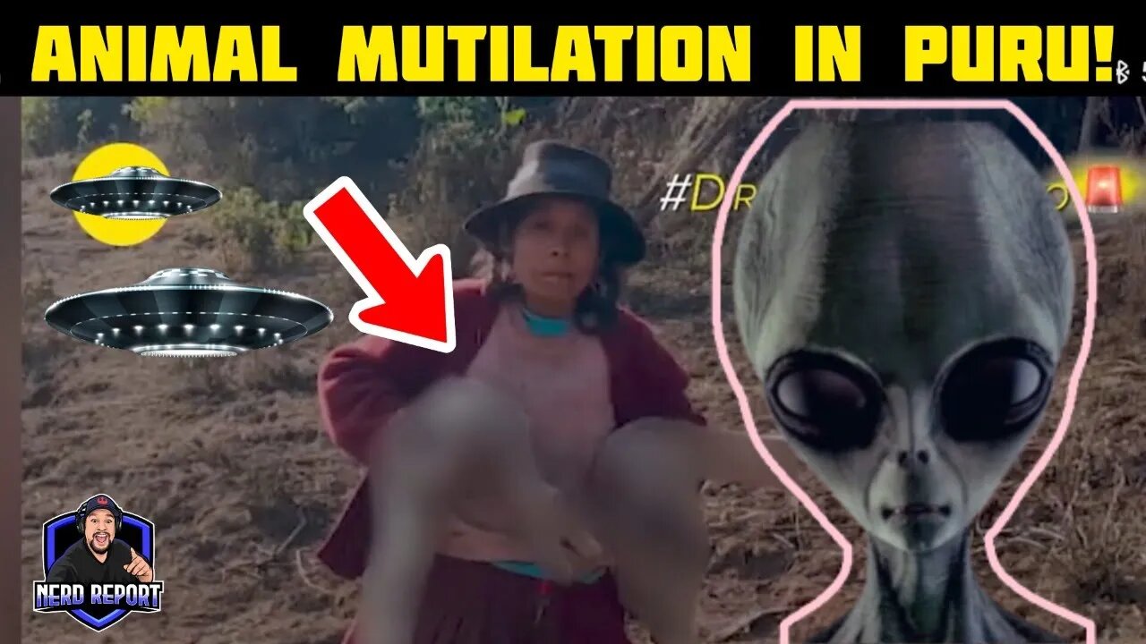 Aliens BLAMED For Mass Animal Mutilations in Peru!