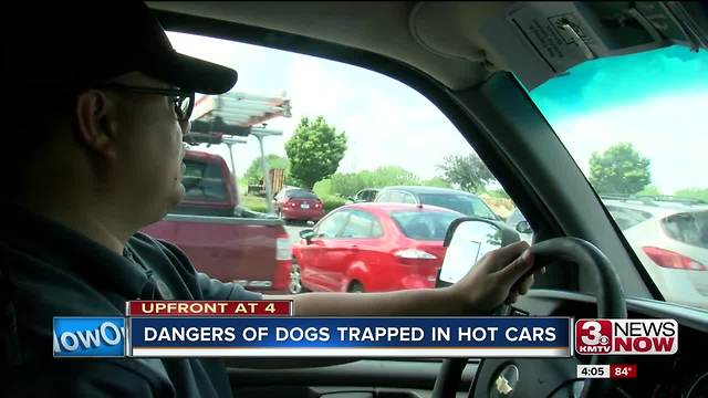 Animal control receives 100+ reports of dogs locked in hot cars, left outside in extreme heat