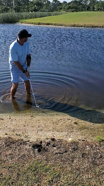 Water Shot, Golf, Sandridge Lakes Course